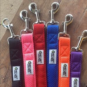 Dog collar and leash combo